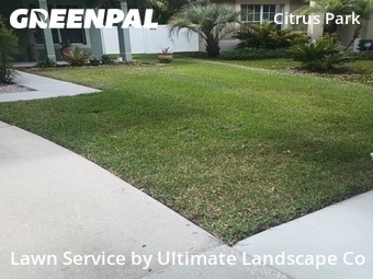 Lawn Mowing nearby Tampa, FL, 