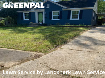 Grass Cut nearby Memphis, MS, 