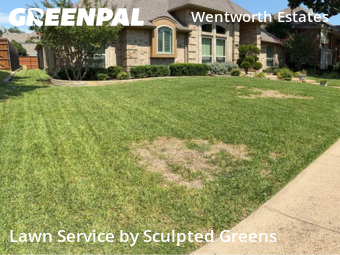 Lawn Mow nearby Plano, TX, 