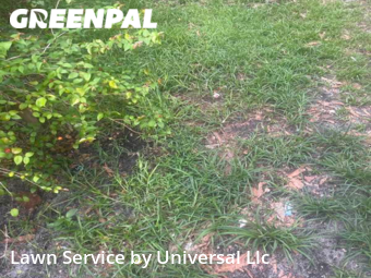 Lawn Mow nearby Dania Beach, FL, 