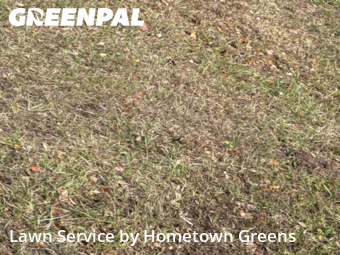 Grass Care in Bartow, 33830, Grass Cutting by Hometown Greens , work completed in Dec , 2025
