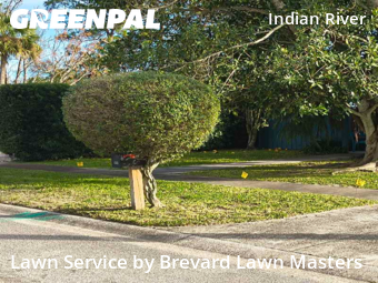 Lawn mowed in Titusville, 32780