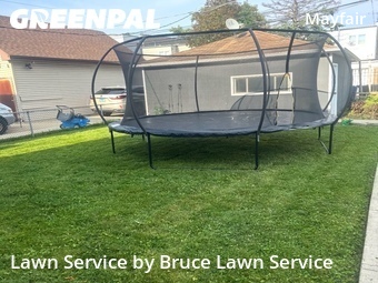Lawn Mowing Service nearby Chicago, IL, 