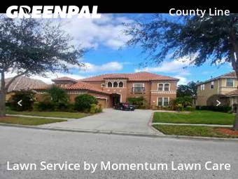 Lawn Carein Tampa,33647,Lawn Service by Momentum Lawn Care, work completed in Nov , 2025