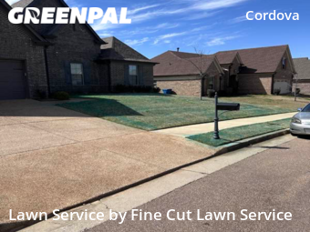 Yard Mowing nearby Shelby County, TN, 