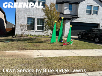 Lawn Care nearby Princeton, TX, 
