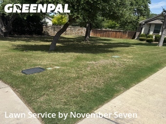 Lawn Cut nearby Round Rock, TX, 