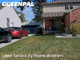 Lawn Mow nearby Roseville, MI, 