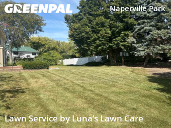 Lawn Cut nearby Naperville, IL, 