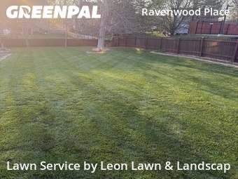 Lawn Cut nearby Olathe, KS, 