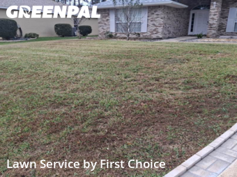 Front Yard Mowing in Palm Coast, 32137, Lawn Services by First Choice, work completed in Dec , 2025