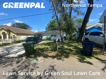 Lawn Care Service nearby Tampa, FL, 