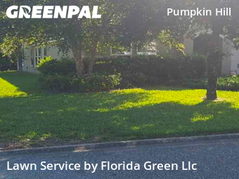 Lawn Cutting nearby Jacksonville, FL, 