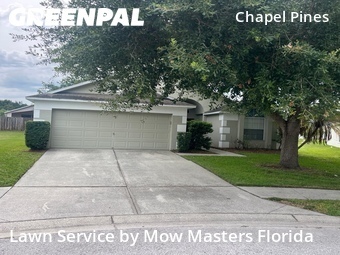 Lawn Mow nearby Wesley Chapel, FL, 