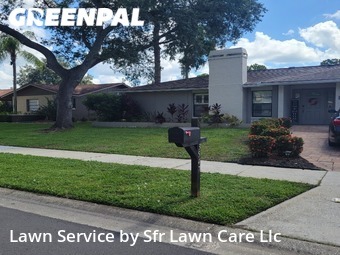 Yard Grooming in East Lake, 34685, Lawn Work by Sfr Lawn Care Llc, work completed in Nov , 2025