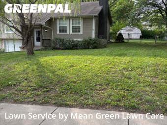 Lawn Carein Blue Springs,64014,Lawn Care by Mean Green Lawn Care, work completed in Nov , 2025