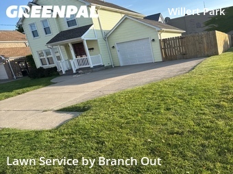 Lawn mowed in Buffalo, 14204