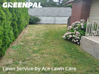 Work completed by affordable-grass-cutting-businesses-in-Fairfield-CA