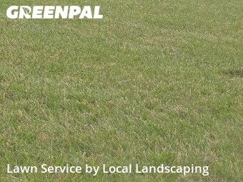 Grass Cutting nearby Marion, OH, 