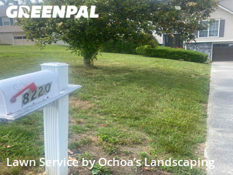 Grass Cut nearby Chattanooga, GA, 