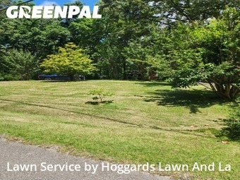 Grass Cut nearby Jackson, TN, 