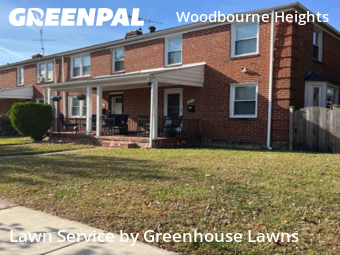 Landscaping Renovation In Baltimore,21239,Landscape Design by Greenhouse Lawns, work completed in Nov , 2025