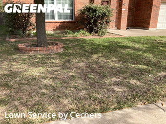 Lawn Service nearby Round Rock, TX, 