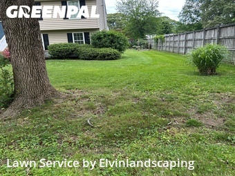 Lawn Cuttingin Pasadena,21122,Lawn Mowing Service by Elvins Lansdcaping, work completed in Jul , 2026