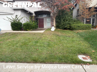 Work completed by local-lawn-cutting-services-in-Rocklin-CA