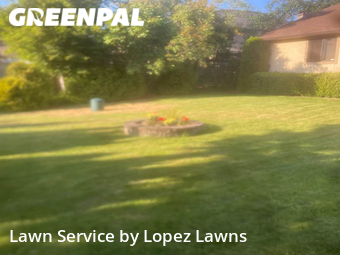 Lawn Mowing nearby Newcastle, WA, 