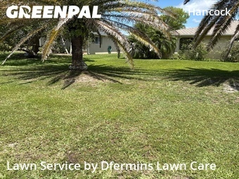 Lawn Mow nearby Cape Coral, FL, 