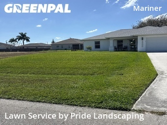 Grass Cut nearby Cape Coral, FL, 