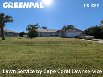 Grass Cut nearby Cape Coral, FL, 
