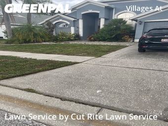 Lawn Mowing Service nearby Wesley Chapel, FL, 