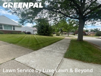 Lawn Mowing Service nearby Warrensville Heights, OH, 