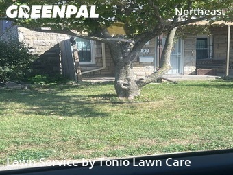 Lawn Cutin Kansas City,66101,Lawn Care Service by Tonio Lawn Care, work completed in Nov , 2025