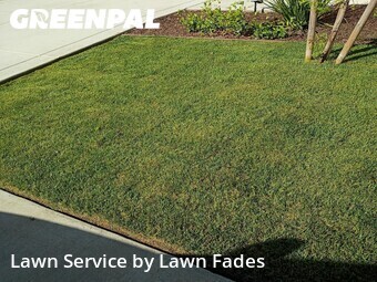 Work completed by lawn-care-experts-in-Roseville-CA