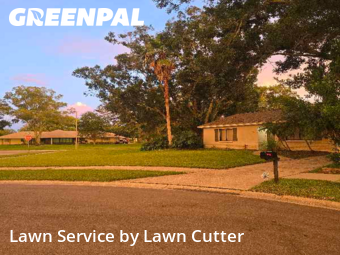 Lawn Mow nearby Dunedin, FL, 