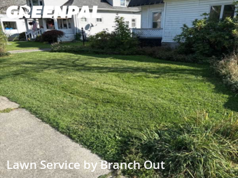 Lawn Care nearby Hamburg, NY, 