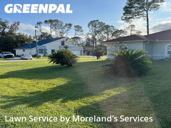 Lawn Mowing Service nearby Palm Coast, FL, 