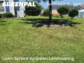 Grass Cut nearby Durham, NC, 