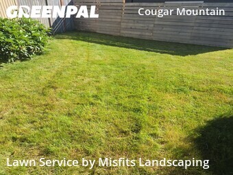 Lawn mowed in Bellevue, 98006