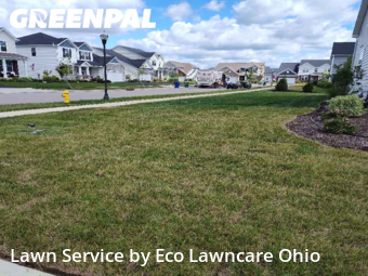 Yard Cutting nearby Delaware, OH, 