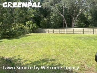 Lawn Mow nearby Gainesville, FL, 