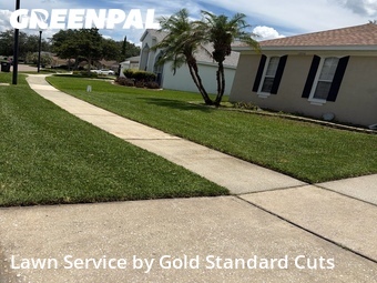 Grass Cutting nearby Orlando, FL, 