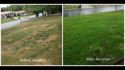 local-lawn-maintenance-contractors-in-Castle Rock-CO