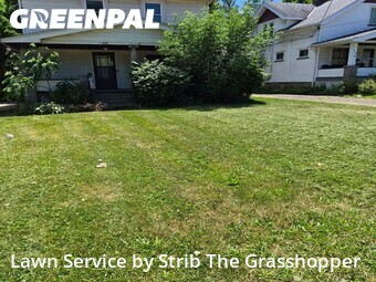 Lawn Mow nearby Cleveland, OH, 