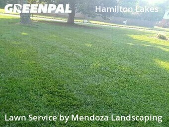 Grass Cutting nearby Greensboro, NC, 