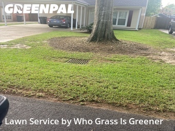 Grass Cutting nearby Old Jefferson, LA, 