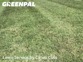 Lawn Mowing nearby Murfreesboro, TN, 